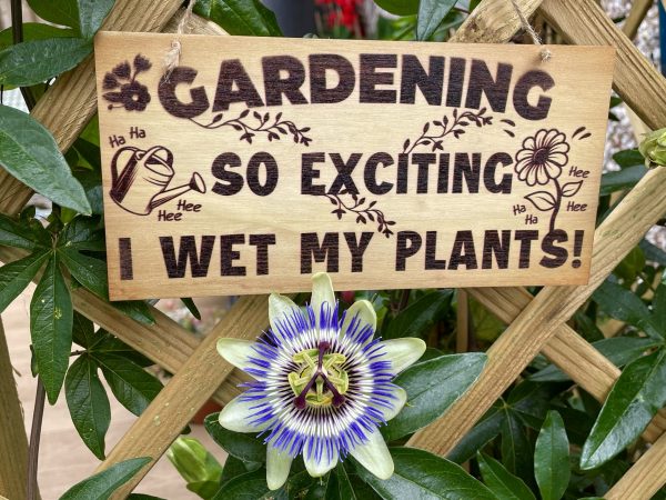 Garden Sign - So Exciting I Wet My Plants!
