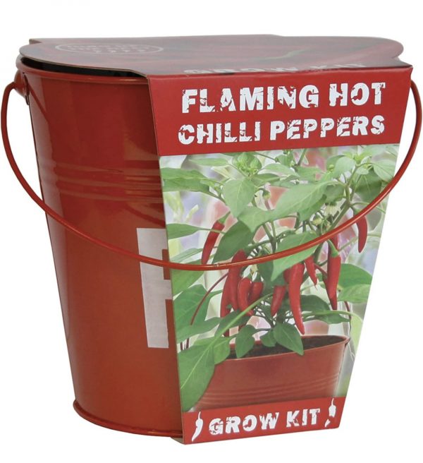 Flaming Hot Chilli Peppers in Fire Bucket